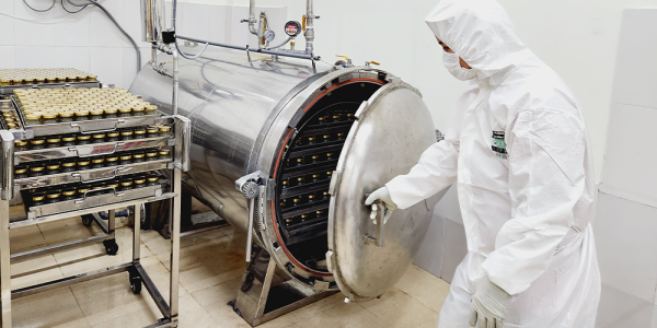 Bird's Nest Production Process | NestGia Bird's Nest